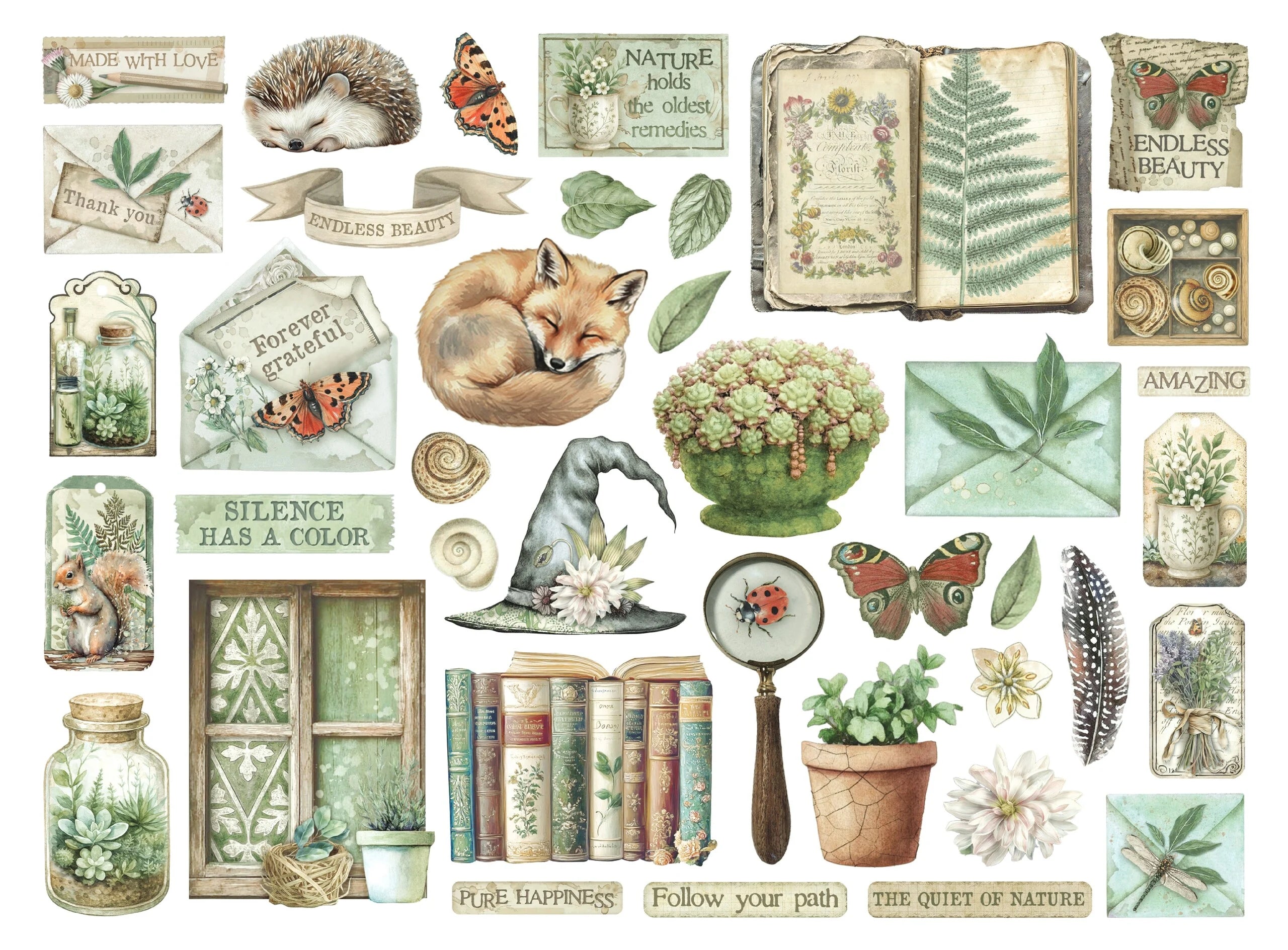 Stamperia  - Herbarium Silvae - Chipboard Die Cuts