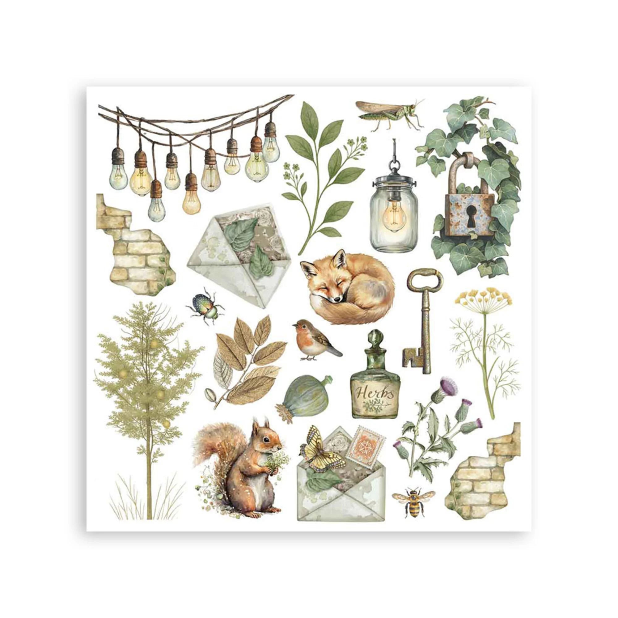 Stamperia - Herbarium Silvae - Rub ons Assortment