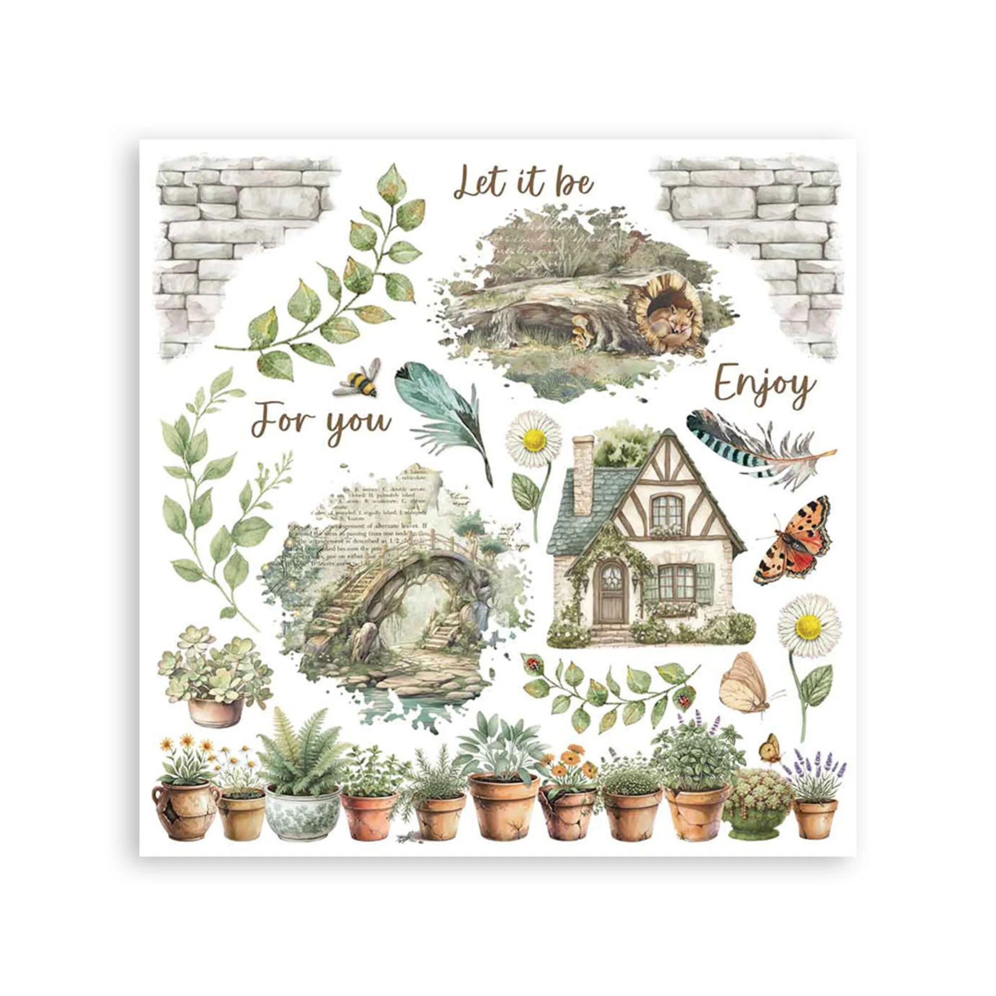 Stamperia - Herbarium Silvae - Rub ons Assortment