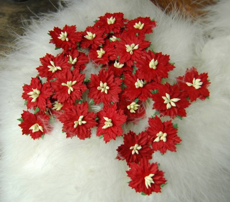 Papirdesign - Blomst - Julestjerner - rød
