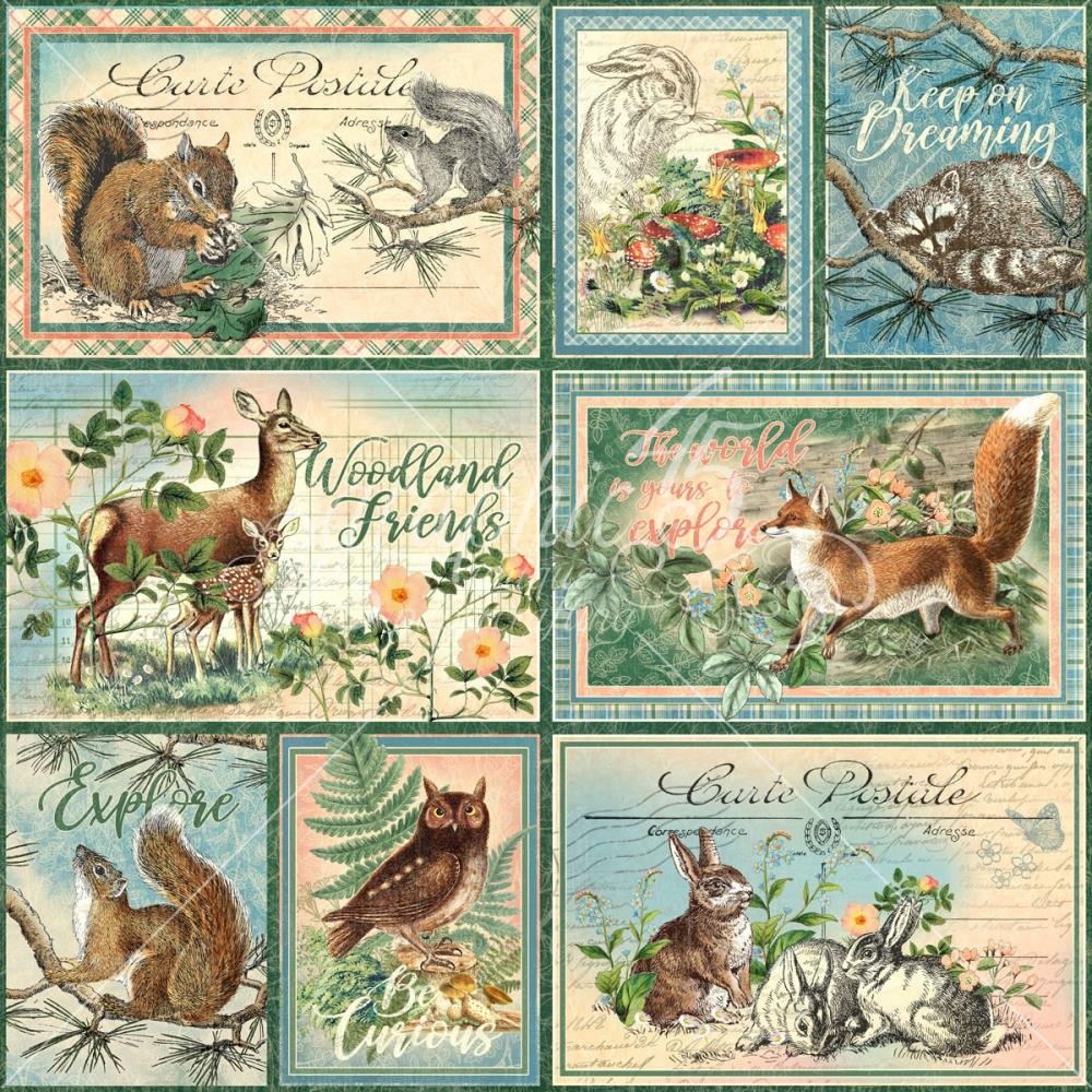 Graphic 45 - Woodland Friends - Be clever  -  12x12"