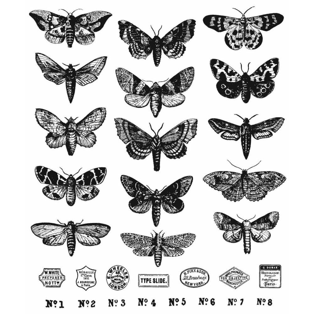 Tim Holtz Collection - Cling Stamps - Moth Study