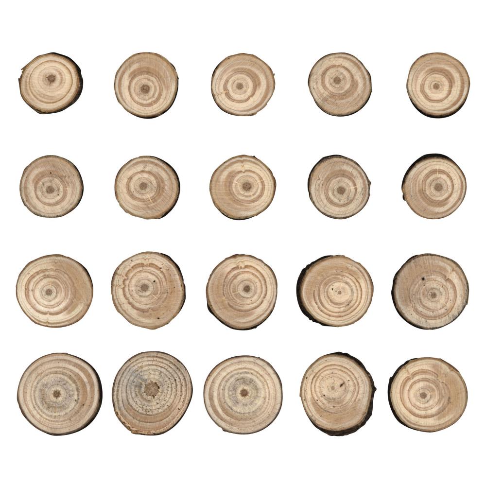 Tim Holtz - Idea-ology Christmas 2021 - Wood Slices