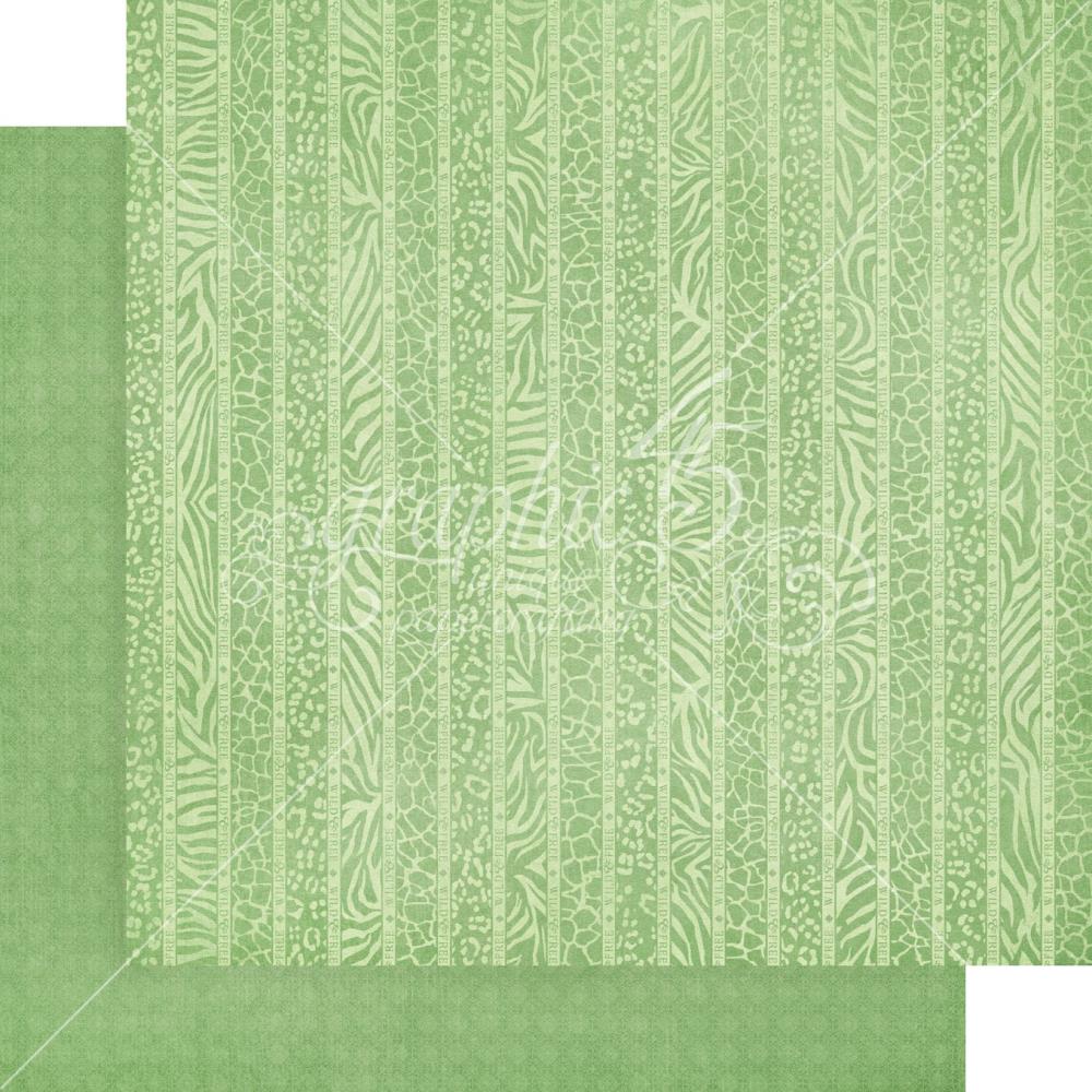 Graphic 45 - Wild & Free - Patterns and Solid   Paper Pad   12 x 12"