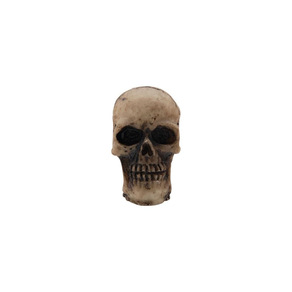 Tim Holtz - Idea-Ology - Halloween 2022 - Skulls