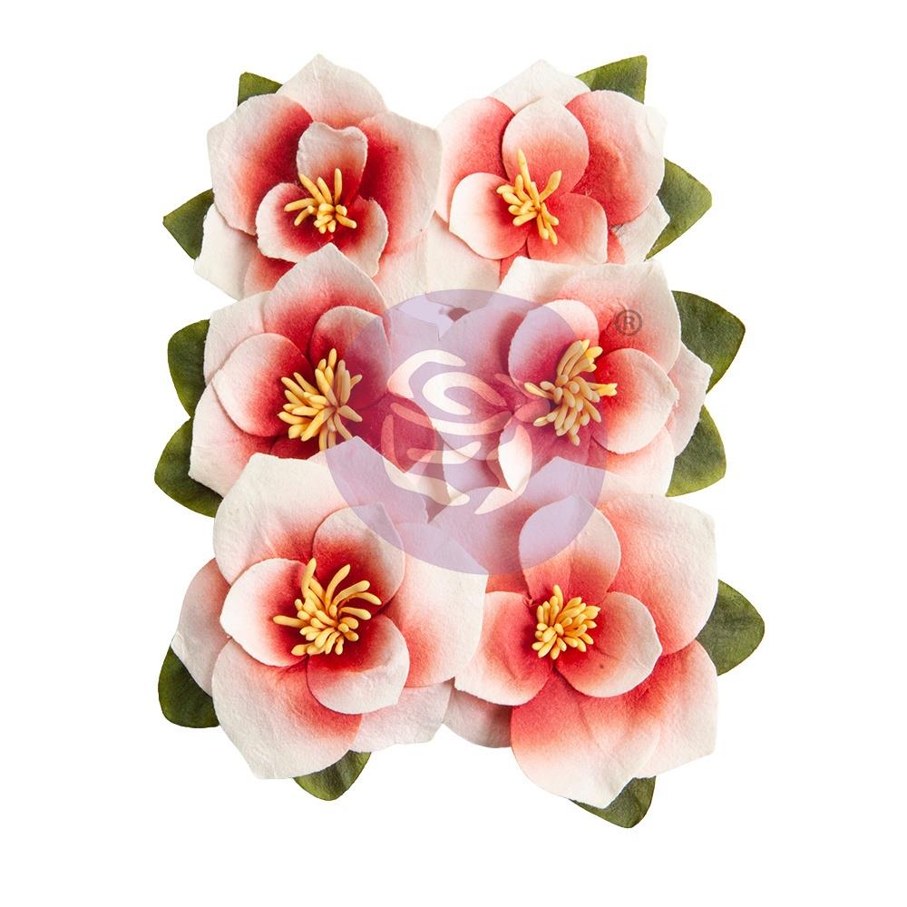 Prima - Magnolia Rouge - Flowers - Blushing Florals
