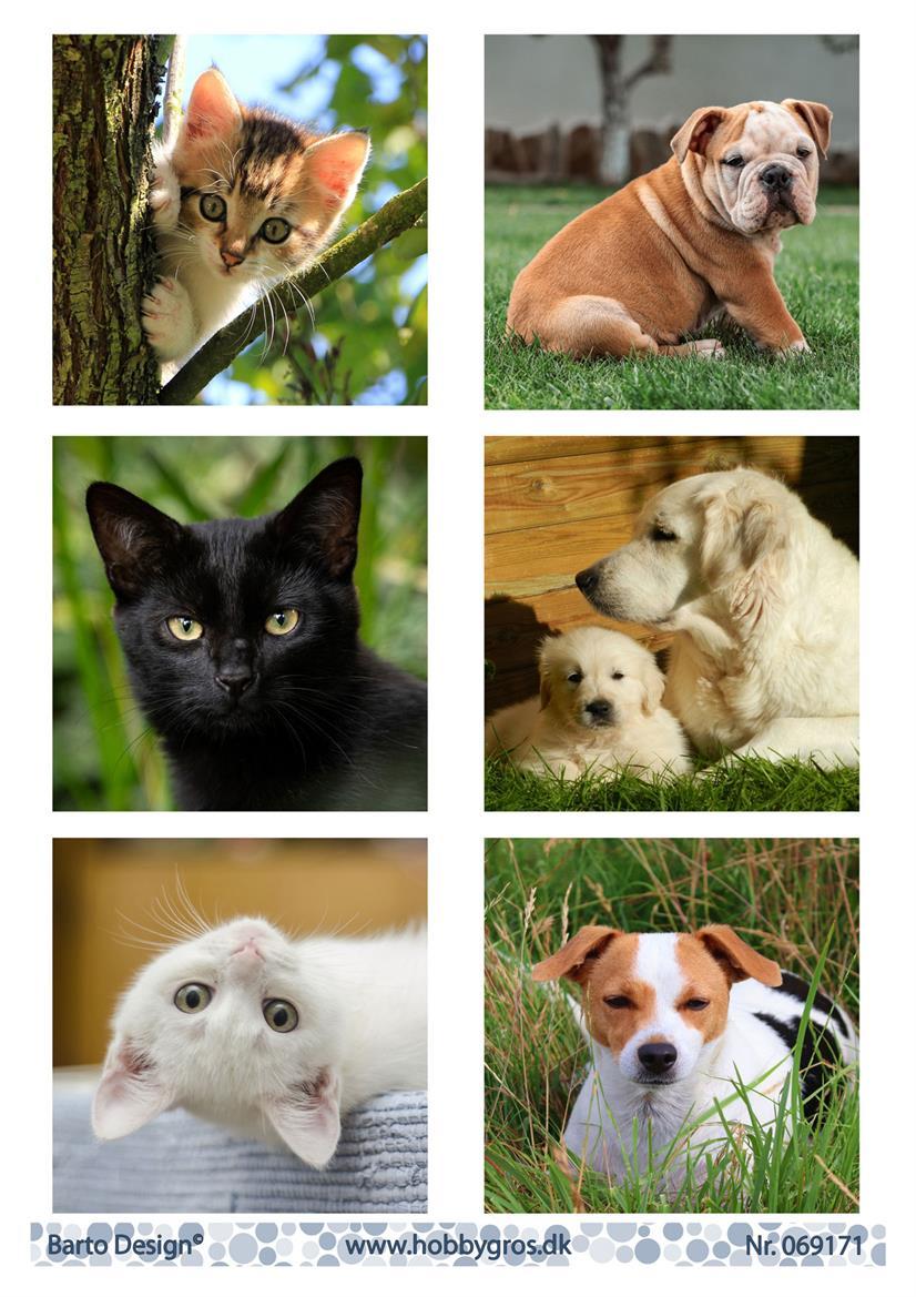 Barto Design - Utklippsark - Cute Pets