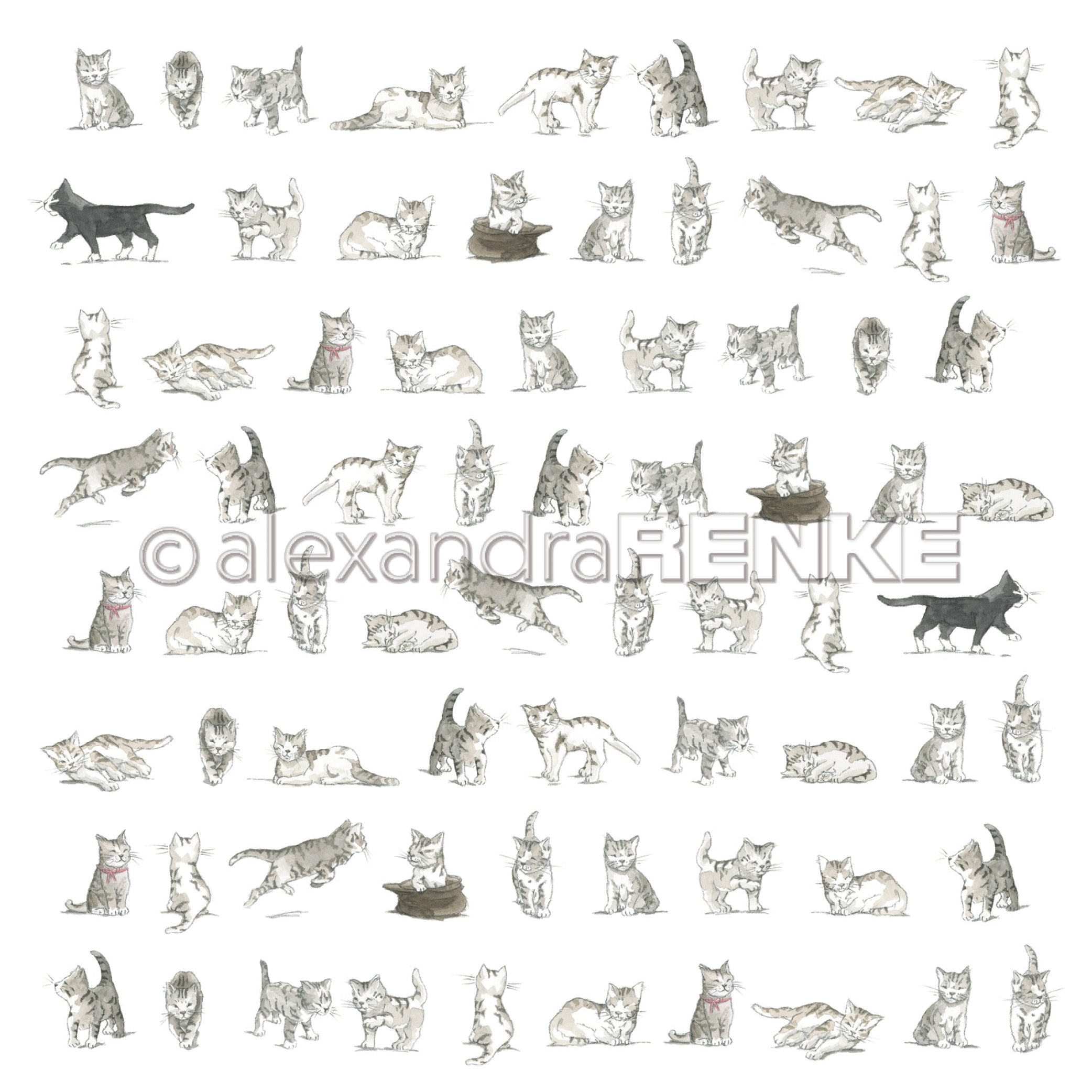 Alexandra Renke - Cats  - Paper   12x12"