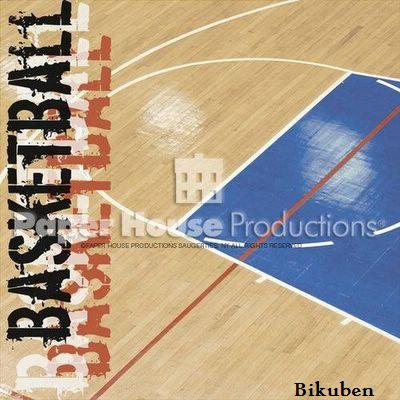 Paper House: BASKETBALL COURT
