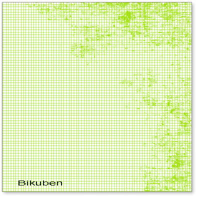 Hambly: Mini Graph -Lime Green Overlay    12 x 12"