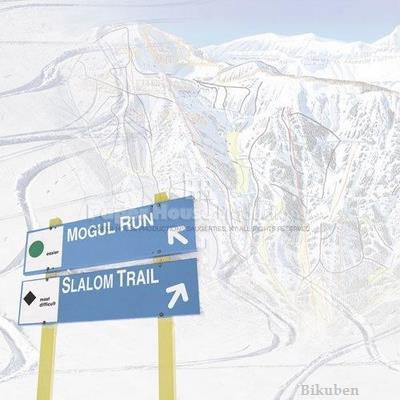 Paper House: SKIING TRAIL MAP   12 x 12"