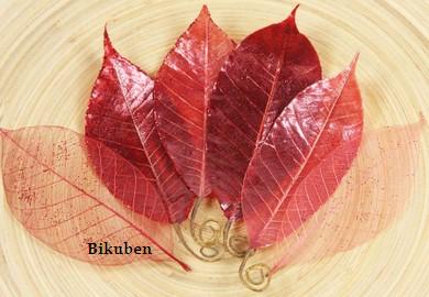 Prima: Temple Leaves - Dang Red