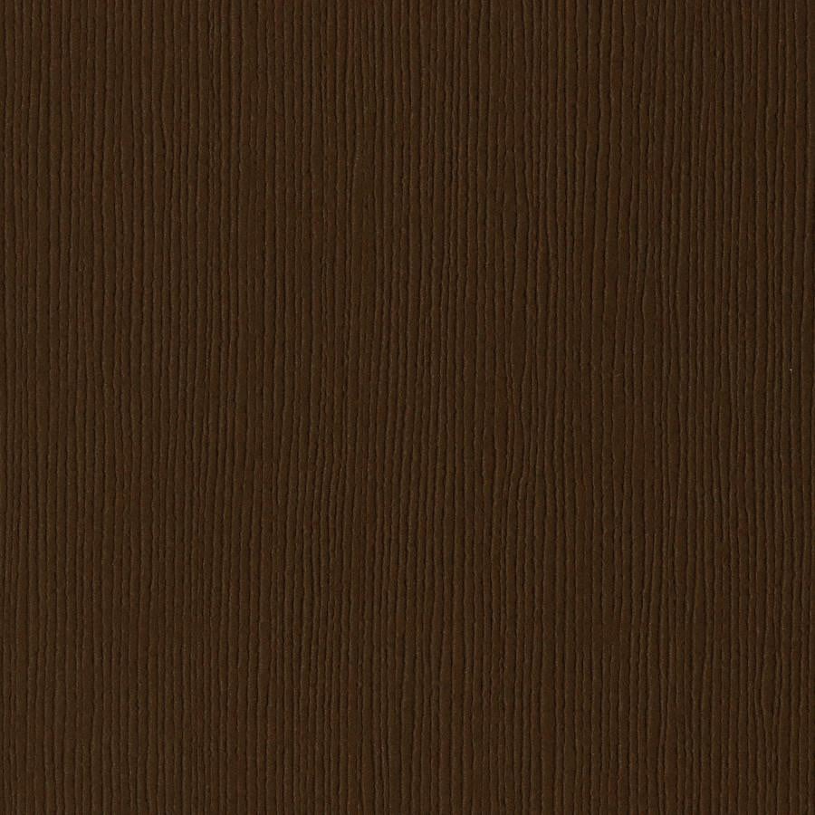 Bazzill: Grass Cloth - Suede Brown Dark brun kartong