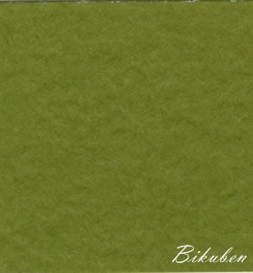 Bazzill: Prismatics - Spring Willow Medium 12x12" grønn kartong 