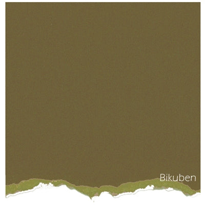 Core'dinations - Tim Holtz & Ranger - Distress Collection - Crushed Olive 12x12"