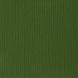 Bazzill - Grass Cloth - Rain Forest 12x12" grønn kartong 