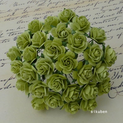 Wild Orchid - Roses 10mm - Light Lime Green