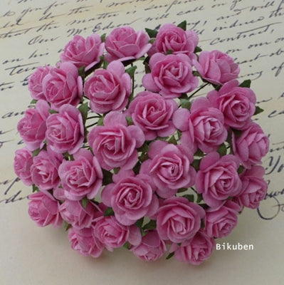 Wild Orchid - Roses 20mm - Pink