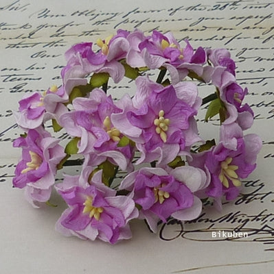 Wild Orchid - Small Gardenia - Lilac/Violet