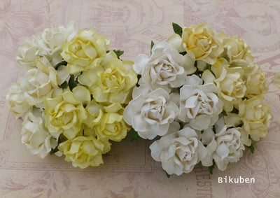 Wild Orchid - Cottage Roses - Mixed White/Cream