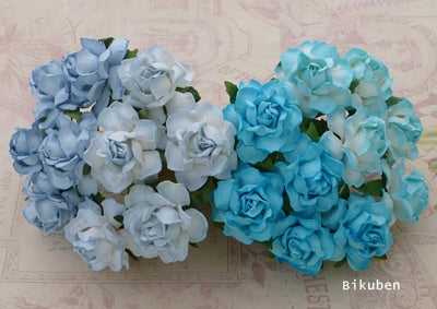 Wild Orchid - Cottage Roses - Mixed Blues
