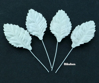 Wild Orchid - Leaves - White 