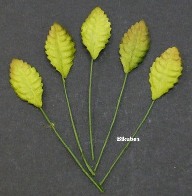 Wild Orchid - Rose Leaves 