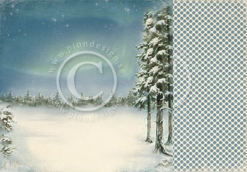 Pion Design: Wintertime in Swedish Lapland - Northern Lights   12 x 12"