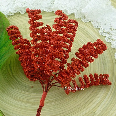 Wild Orchid - Red Spiral Stamens