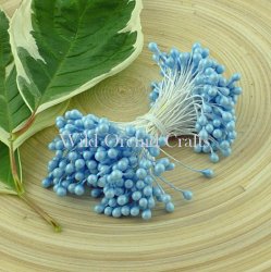 Wild Orchid - Baby Blue Double Head Pearl Stamens