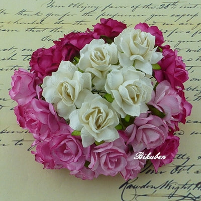 Wild Orchid - Wild Roses - Mixed Pink/White