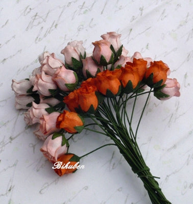 Wild Orchid - Hip Rosebuds - Mixed Peach/Orange