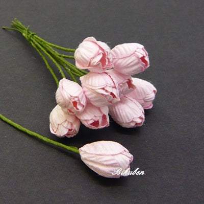 Wild Orchid - Tulip Flowers - Baby Pink