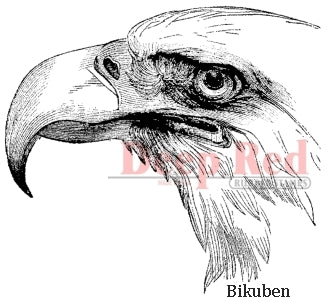 Deep Red Stamps - Bald Eagle Portrait - Cling Stamp