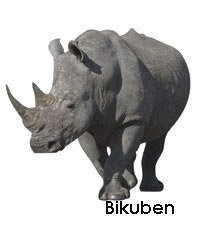 Paperhouse - Diecut - Rhinoceros