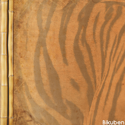 Paperhouse - Tiger Stripes 12x12"