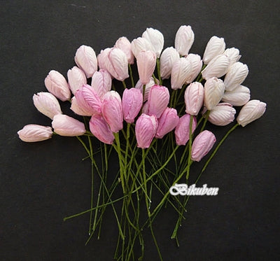 Wild Orchid - Tulip Flowers - Mixed Pink tone