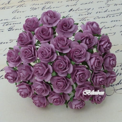 Wild Orchid - Roses  25 mm - Dark Lilac