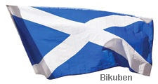 Paperhouse - Diecut - Scottish Flag