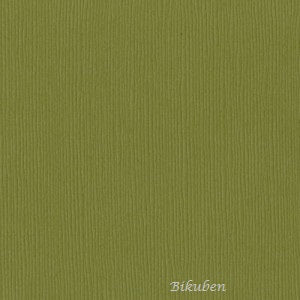 Bazzill - Grass Cloth - Safari   12 x 12" grønn kartong 