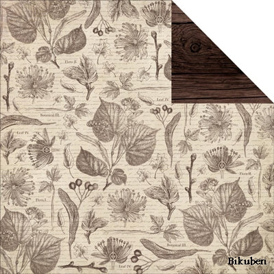 KaiserCraft - Outdoor Trail - Bush 12x12"