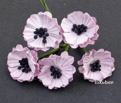 Wild Orchid - Poppy Flowers - Baby Pink