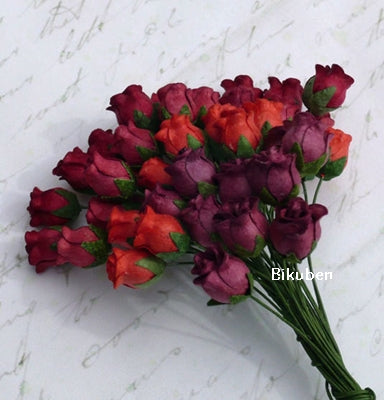 Wild Orchid - Hip Rosebuds - Mixed Reds