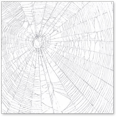 Hambly: Giant Spiderweb Silver Overlay