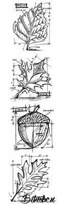 Tim Holtz Collection - Mini Blueprints - Autumn Strip Stamps