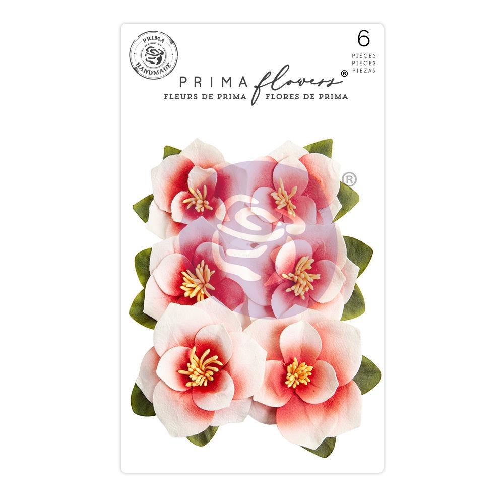 Prima - Magnolia Rouge - Flowers - Blushing Florals