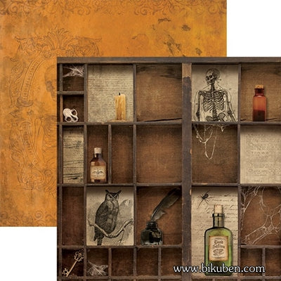 Paper House - Apothecary 12x12"