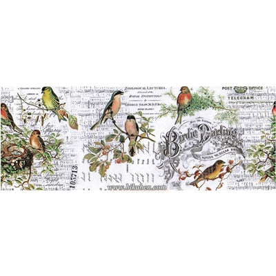 Tim Holtz - Idea-Ology - Collage Paper - Aviary