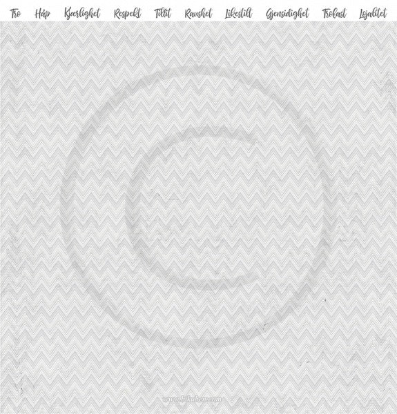 Papirdesign - Bryllupsfest - Skål for brudeparet     12 x 12"
