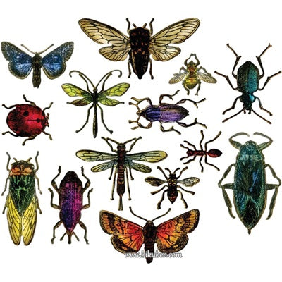 Tim Holtz Alterations - Thinlits - Entomology